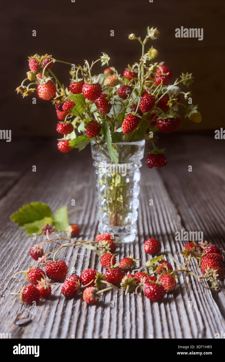 Fraises sauvages dans un vase en verre sur une table en bois rustique, baies forestières fraîches avec des feuilles vertes. Concept naturel de récolte estivale, fruit de saison bio Banque D'Images