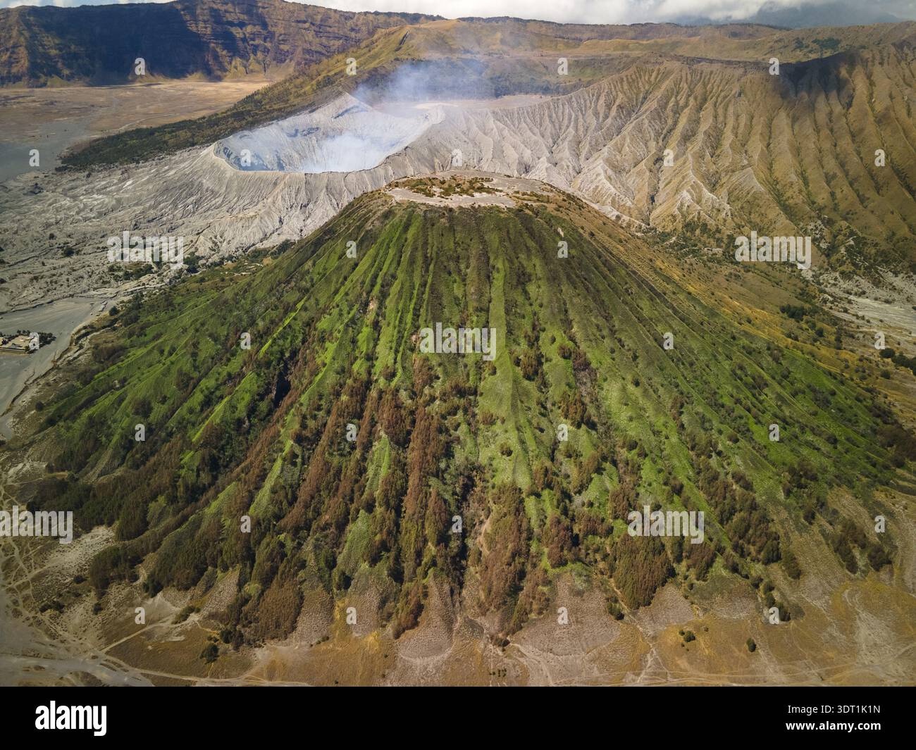 La vue aérienne du verdoyant Mont Batok en forme de cône contraste fortement avec le cratère désolé et fumé du Mont bromo, Mont bromo, East Java, Indiana Banque D'Images