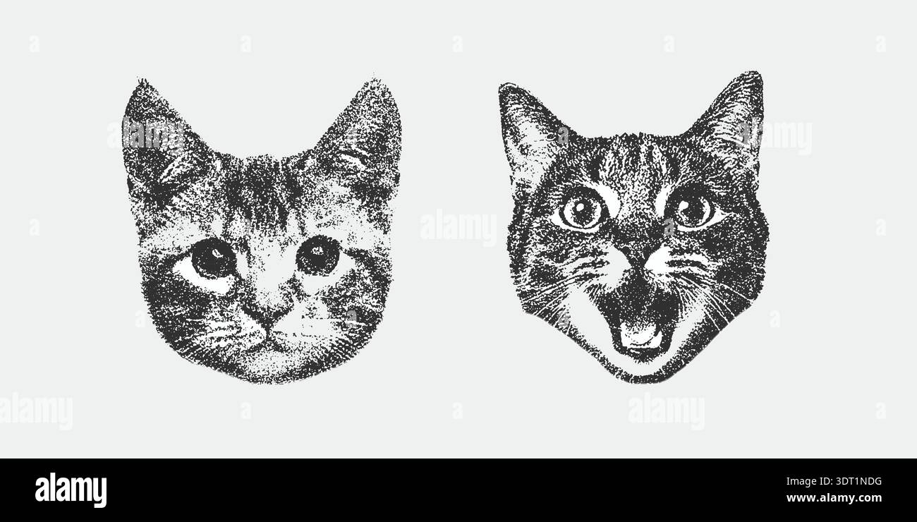 Tête de chien et de chat en chapeau de sorcière avec élément de collage avec texture granuleuse rétro Illustration de Vecteur