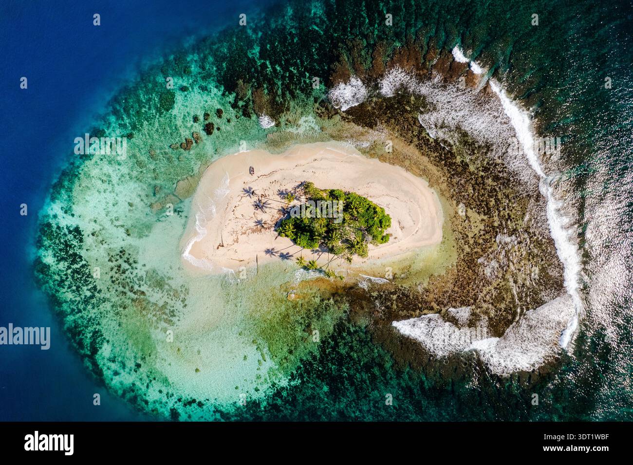 Vue aérienne d'une île tropicale isolée de Polynésie française, entourée de récifs coralliens vibrants et d'eaux bleues cristallines. Les palmiers jettent de l'ombre Banque D'Images