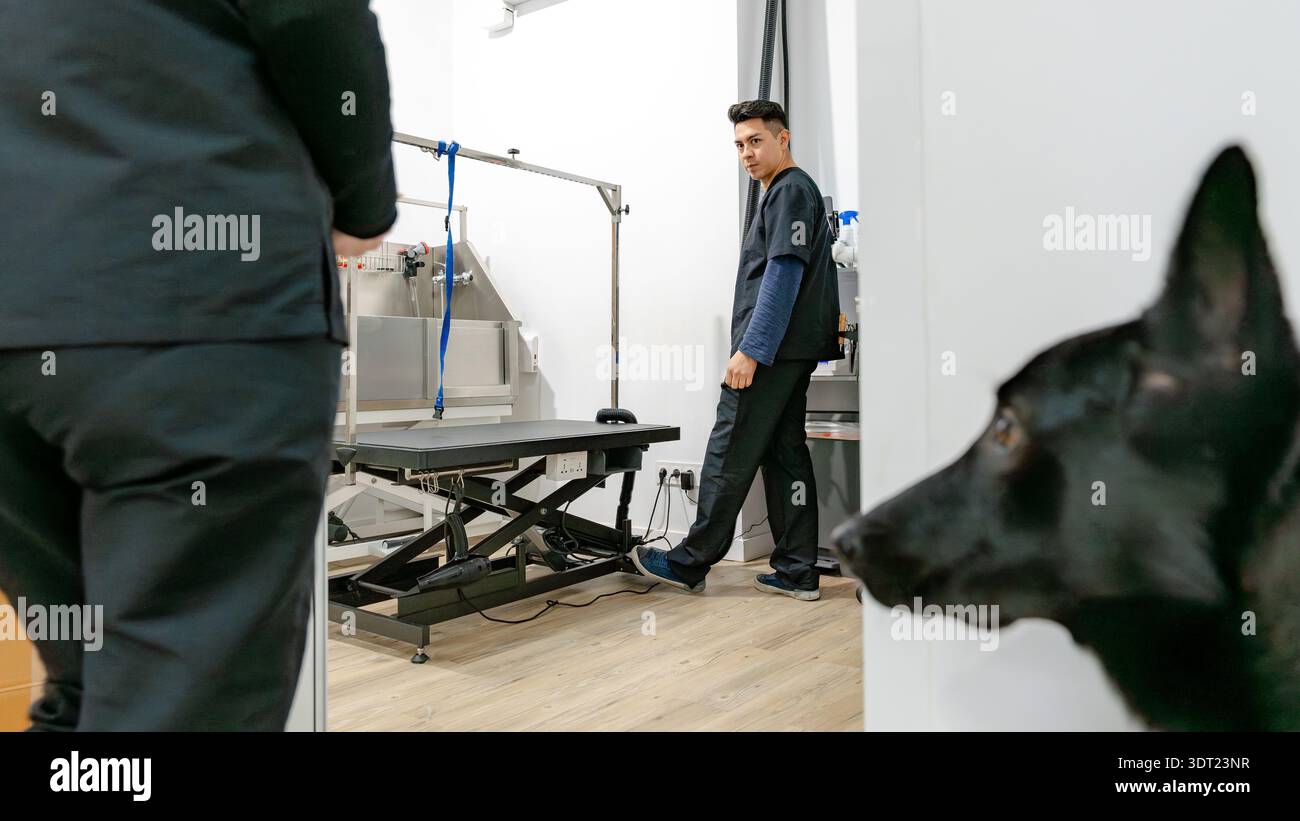 Un salon de toilettage pour chiens avec un équipement moderne et un toiletteur professionnel préparant une séance. L'intérieur propre et spacieux assure un expe confortable Banque D'Images