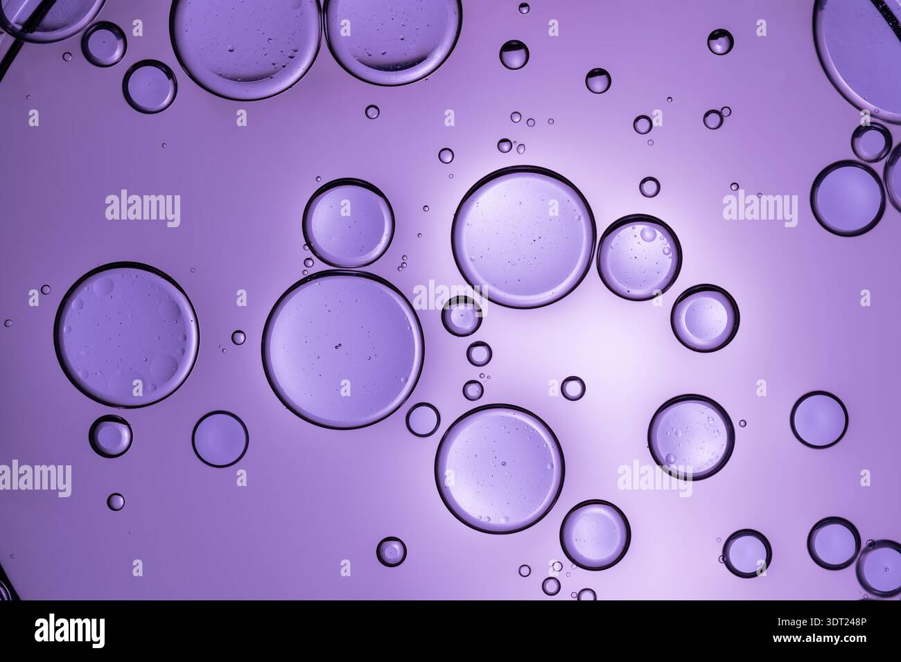 Macro-image présentant des bulles transparentes de tailles variables s'accumulant sur un fond violet doux. La disposition géométrique crée un calme, Banque D'Images