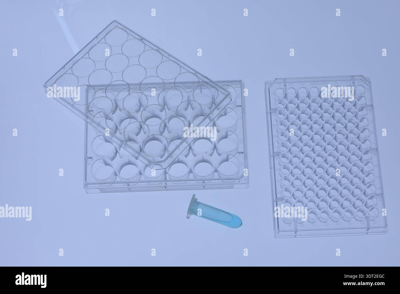 Microplaques en plastique transparent et tube à centrifuger avec liquide bleu pour les expériences scientifiques Banque D'Images
