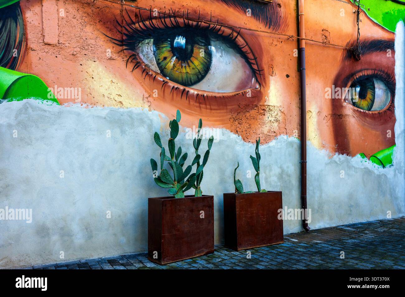 Peinture murale Street art de Mr. Pera représentant un gros plan des yeux verts d'une femme sur un mur dans la via Vela, Catane, Sicile, Italie. Banque D'Images