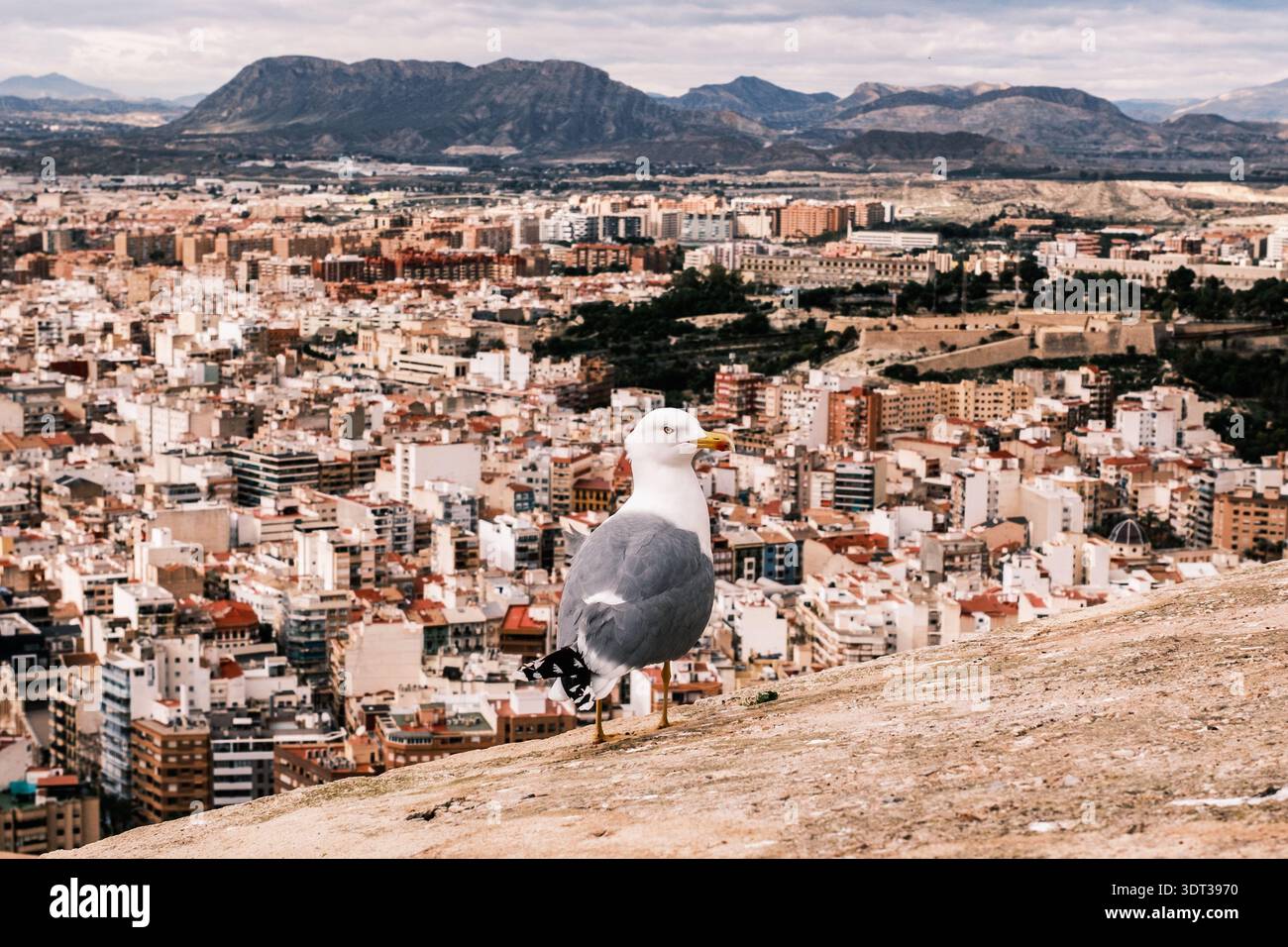 Vue d'Alicante, Espagne - janvier 2026. Banque D'Images