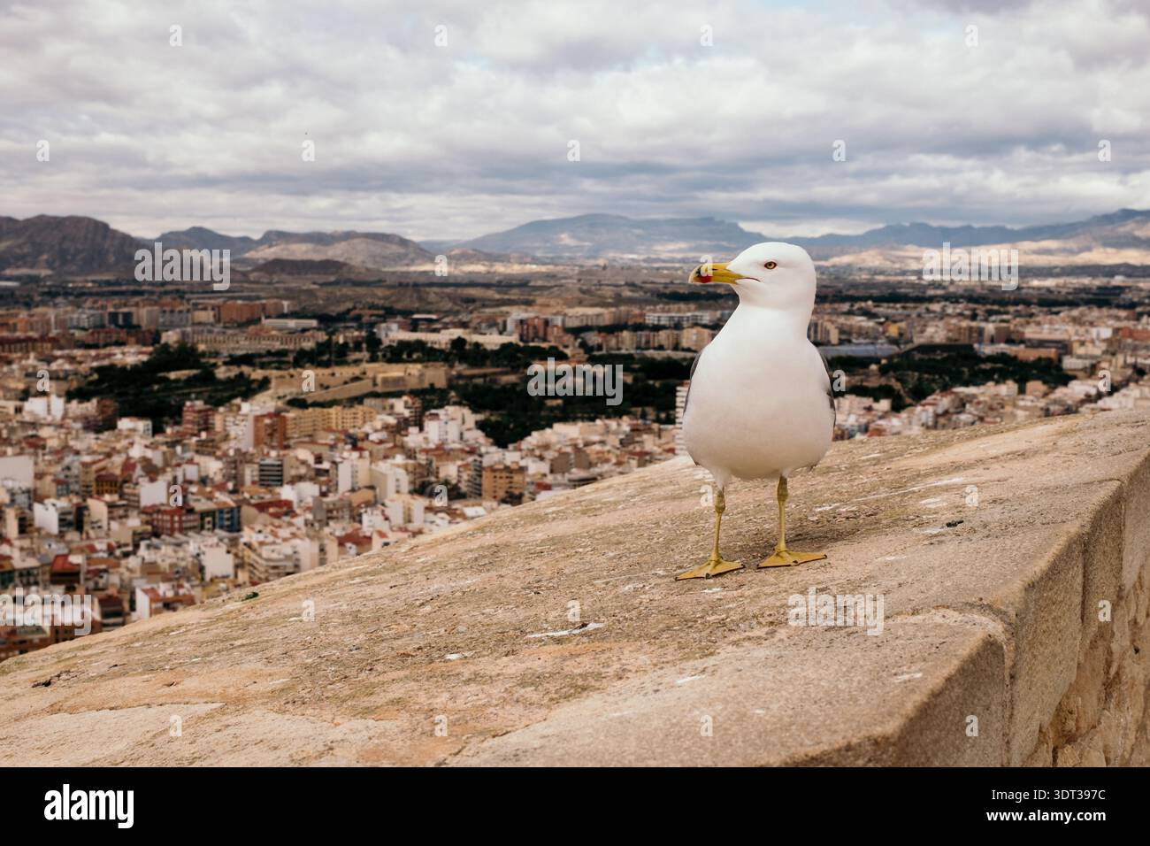 Vue d'Alicante, Espagne - janvier 2026. Banque D'Images
