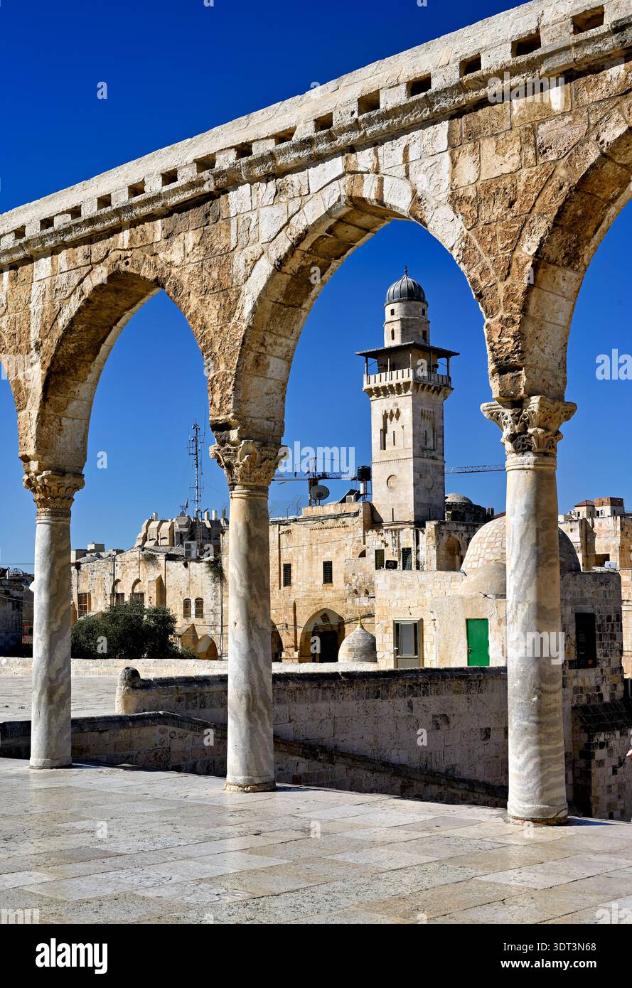 Les visiteurs explorent le Mont du Temple tout en admirant la mosquée Dôme du Rocher sous un ciel bleu clair à Jérusalem. Banque D'Images