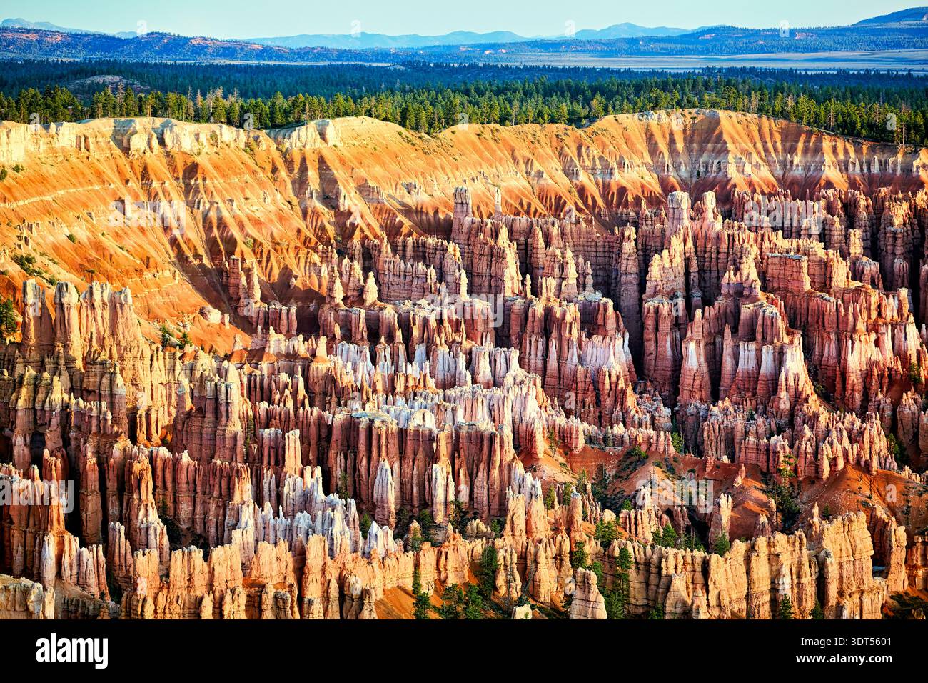 Sunrise apporte de la lumière aux formations rocheuses et au paysage au belvédère de Bryce point dans le parc national de Bryce Canyon, Utah, États-Unis. Banque D'Images