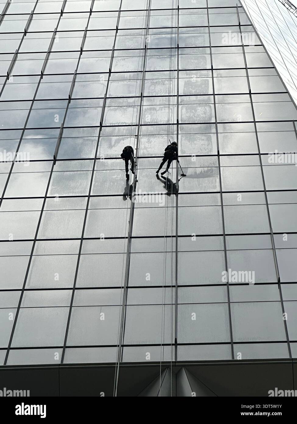 Deux ouvriers sur une vaste façade vitrée transforment l’architecture moderne en une grille saisissante d’échelle et de symétrie Banque D'Images