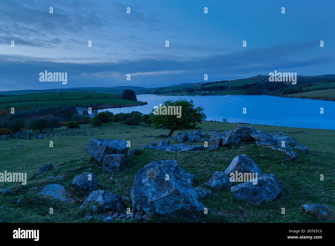 Siblyback Lake Bodmin Moor Cornwall Banque D'Images