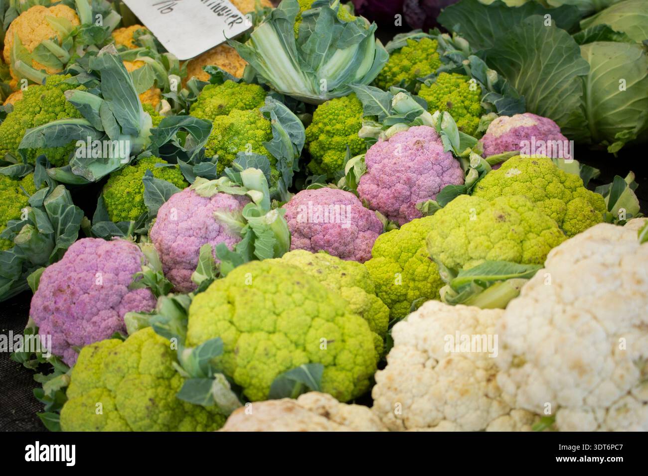 Une vue d'une variété de choux-fleurs, exposés sur un marché fermier local. Banque D'Images