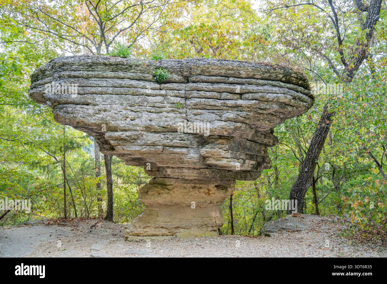 Ancienne formation rocheuse se dresse haute dans le défrichement forestier à Arkansas. Banque D'Images