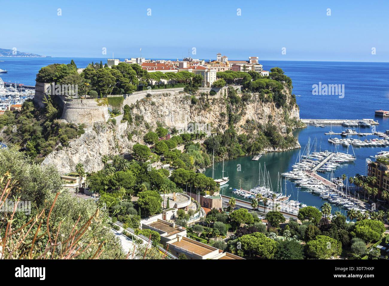Vue panoramique sur le palais du prince à Monte Carlo en été, Monaco Banque D'Images