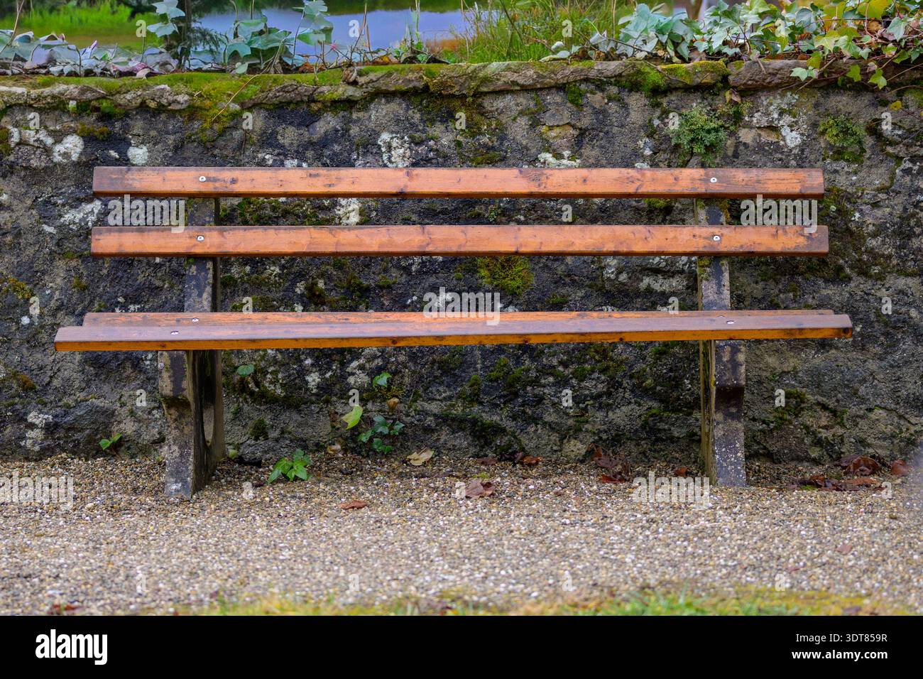 Banc en bois vide dans un cimetière, symbolisant le deuil, le souvenir, le chagrin, la solitude, réflexion, funérailles et mémoire paisible. Banque D'Images