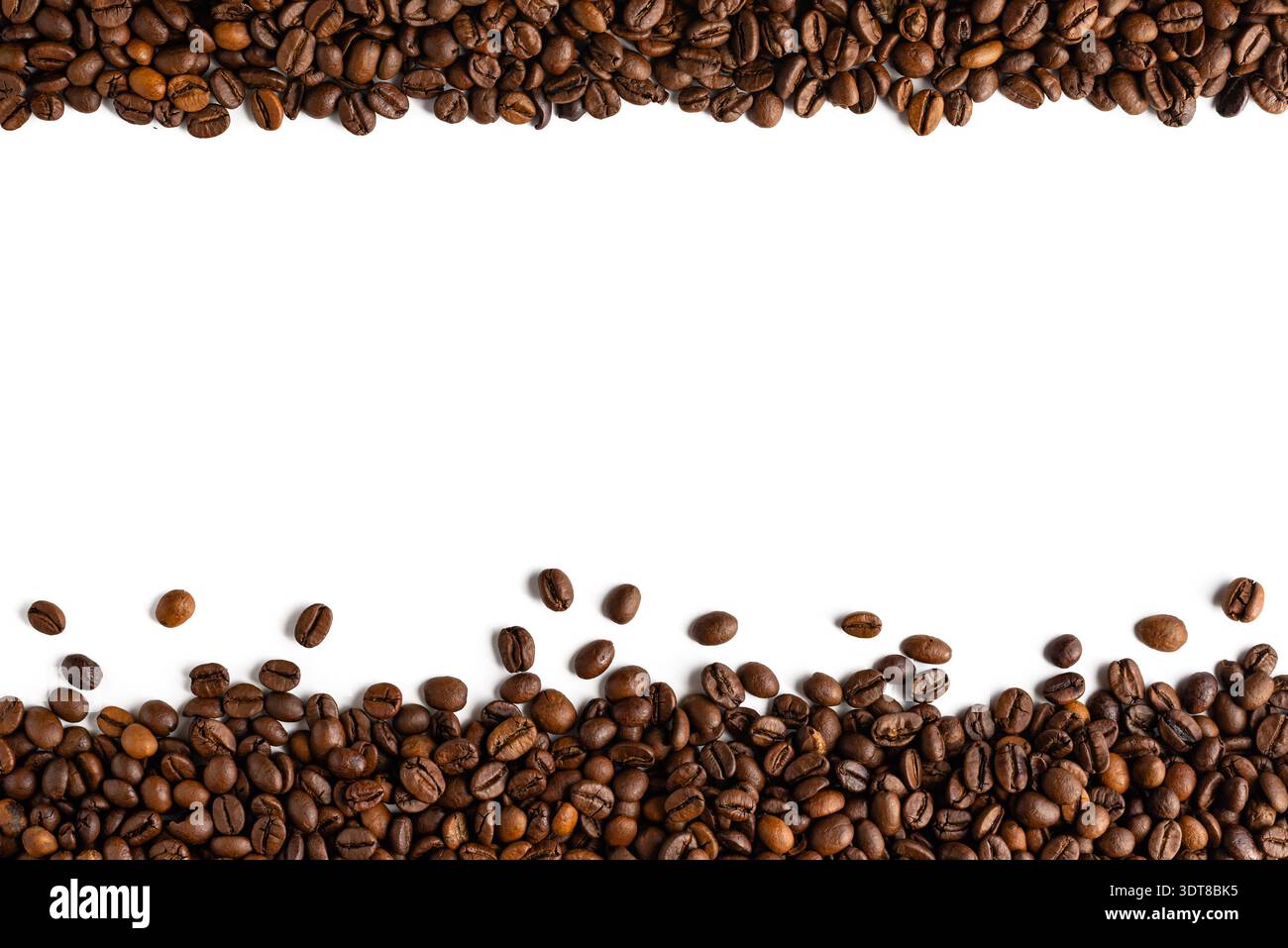 Cadres horizontaux dynamiques avec des grains de café naturellement dispersés sur fond blanc pour des menus et des affiches de café artisanaux. Banque D'Images