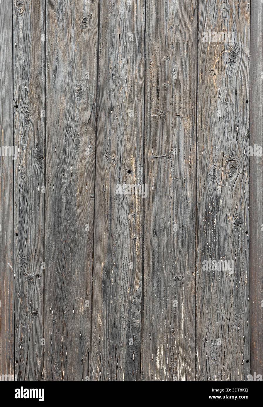 Planches de bois gris formant un fond texturé, affichant l'usure naturelle et l'âge Banque D'Images