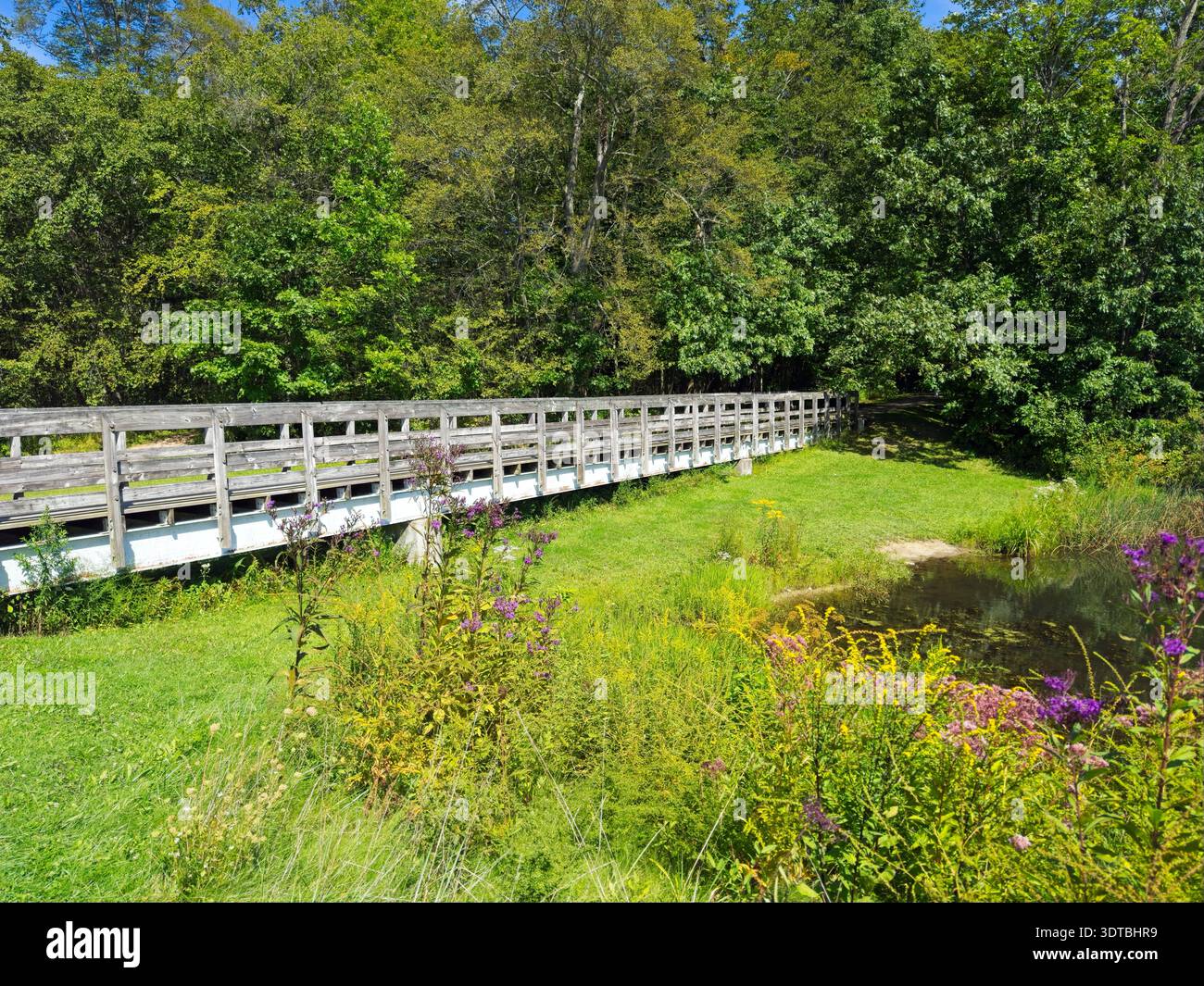 Une passerelle mène du bord de l'eau dans les bois de Lower Bear Lake dans la réserve des lacs de Beartown, un petit parc rural dans le nord-est de l'Ohio. Banque D'Images