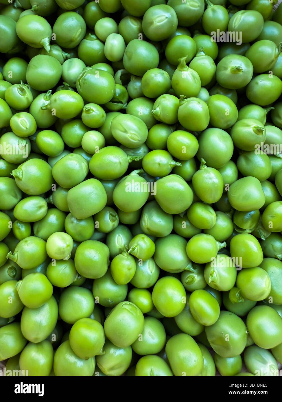 Fond de pois verts présentant des légumes biologiques frais Banque D'Images