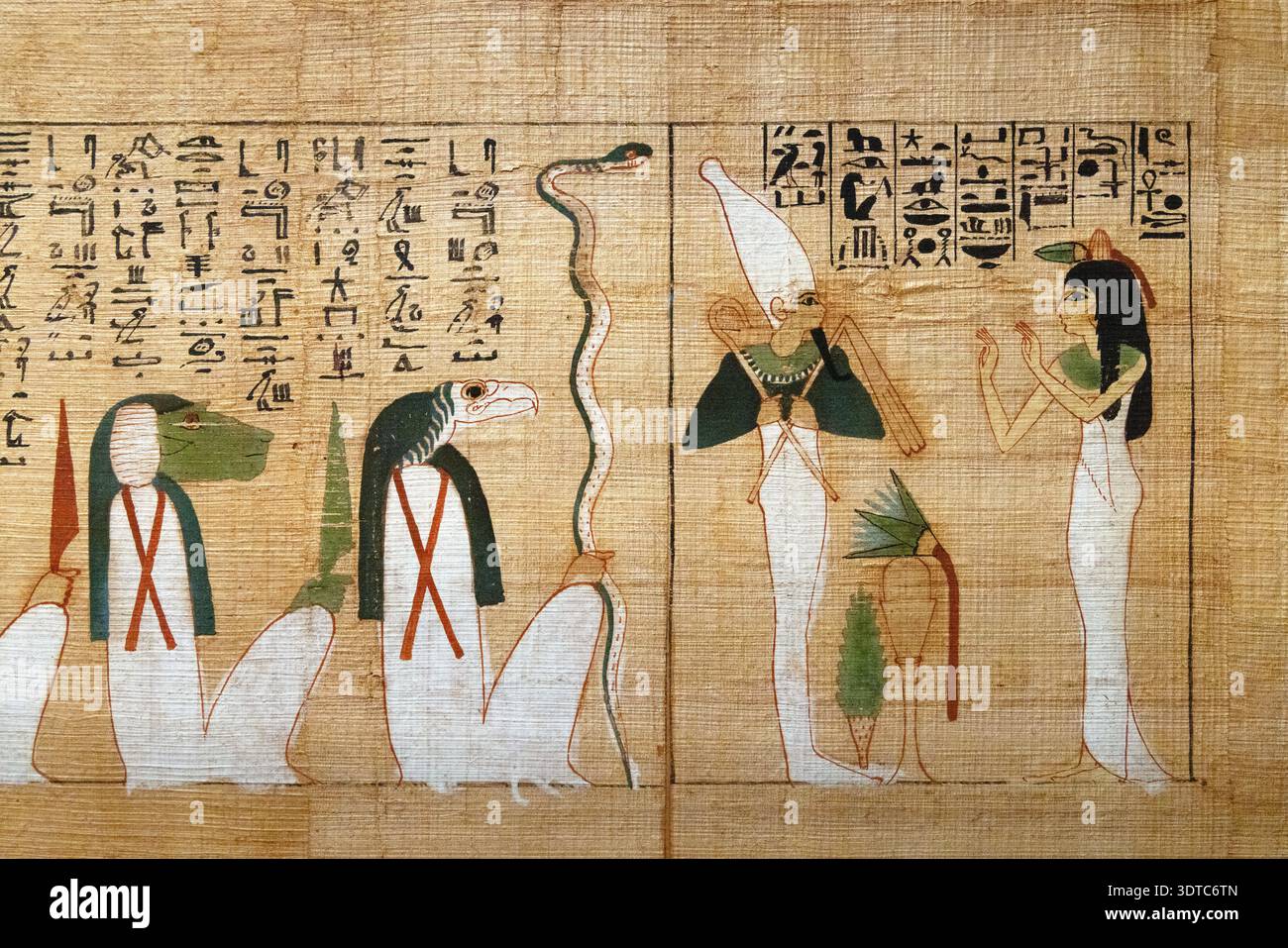 Papyrus égyptien de Diedkhonsuiusankh, détail Banque D'Images