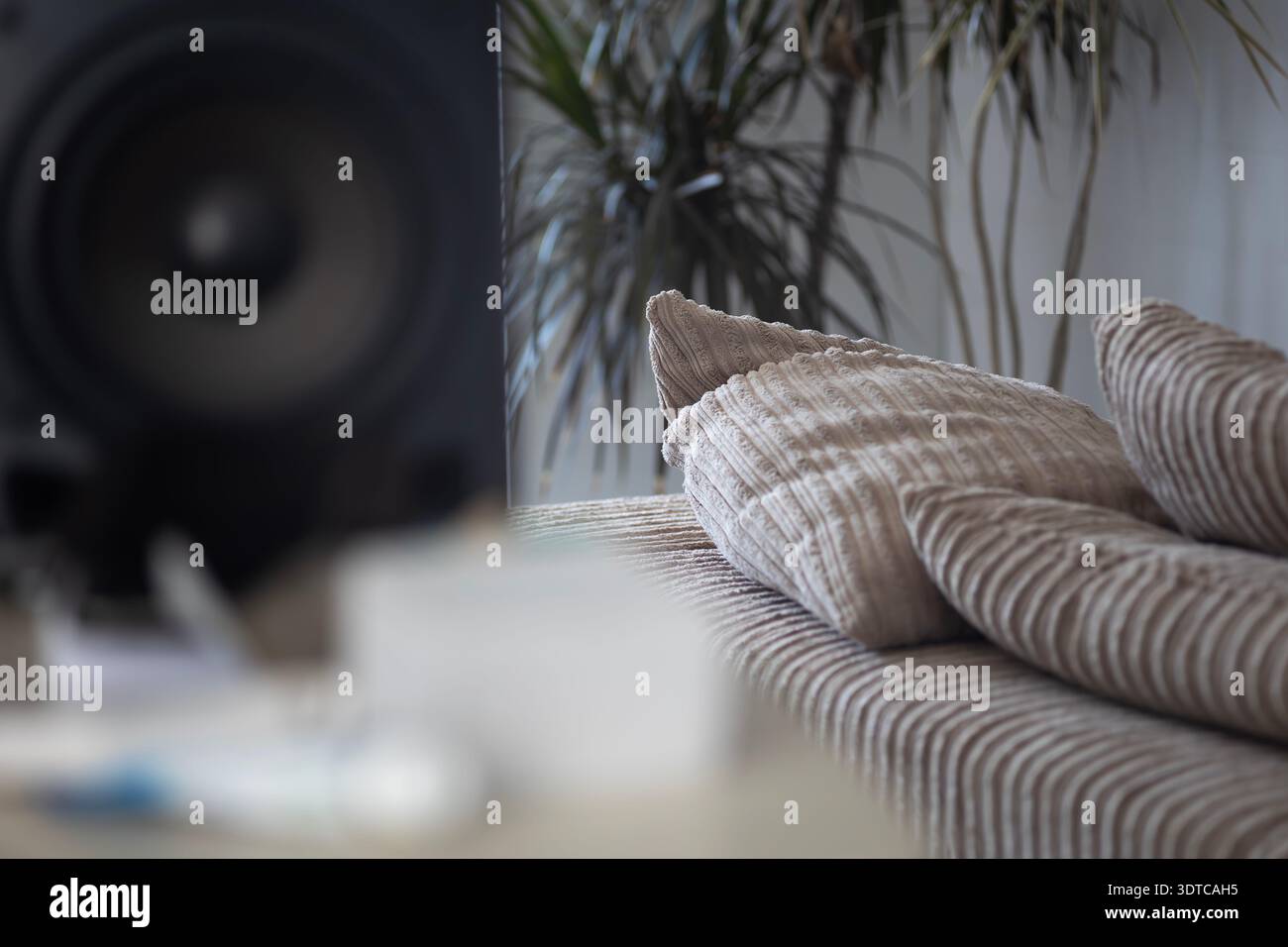 Des oreillers en velours côtelé doux de couleur beige reposent sur un canapé confortable avec une grande armoire de haut-parleur audio et des plantes d'intérieur dans le fond flou. Interi Banque D'Images