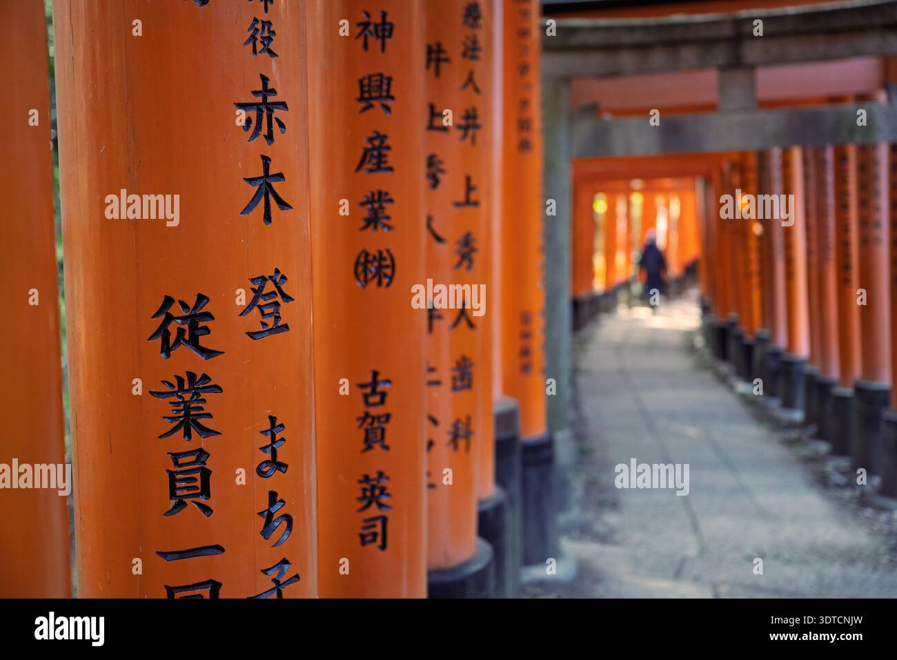 Tunnel Red Torii Gate au sanctuaire Fushimi Inari, Kyoto Japon Banque D'Images