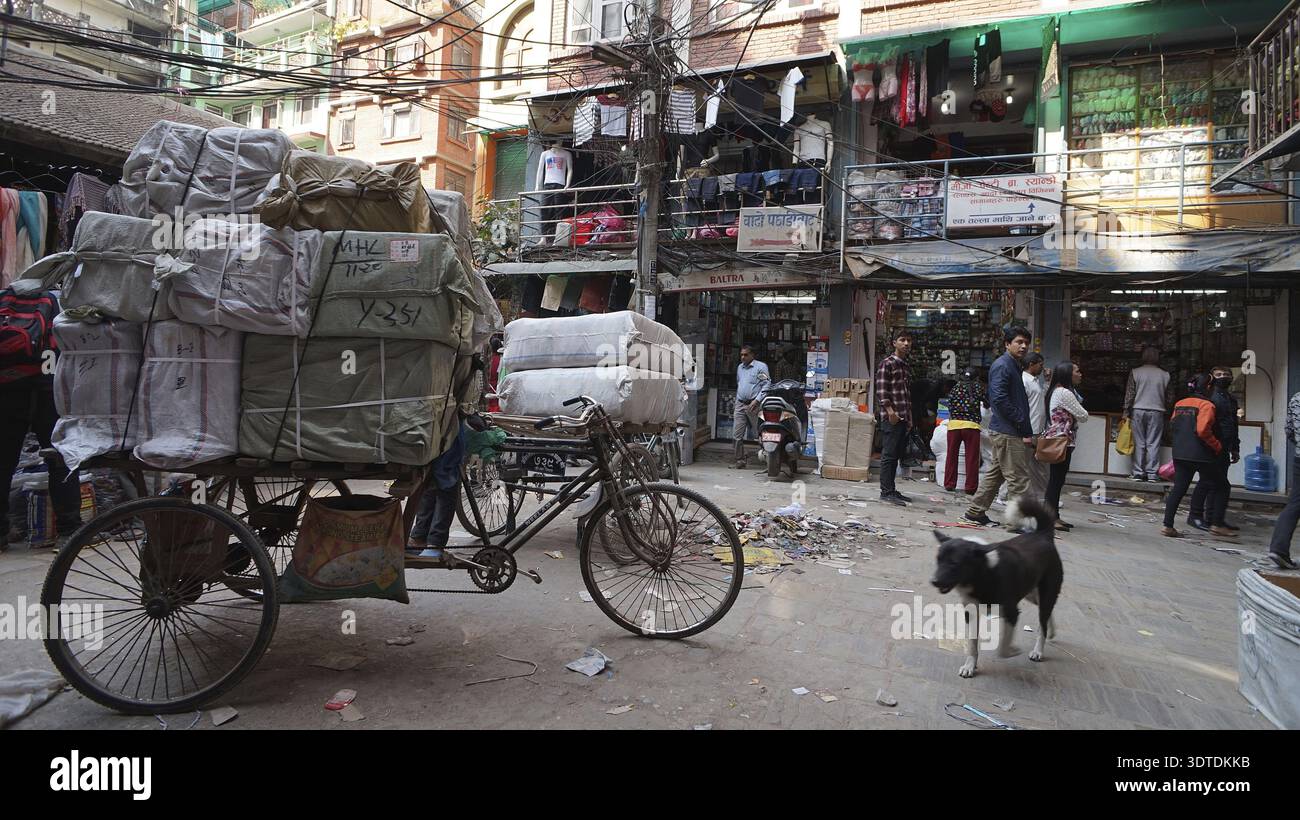 Pousse-pousse à vélo surchargés dans une rue animée avec des magasins et un chien sur le sol, Katmandou, Népal Banque D'Images