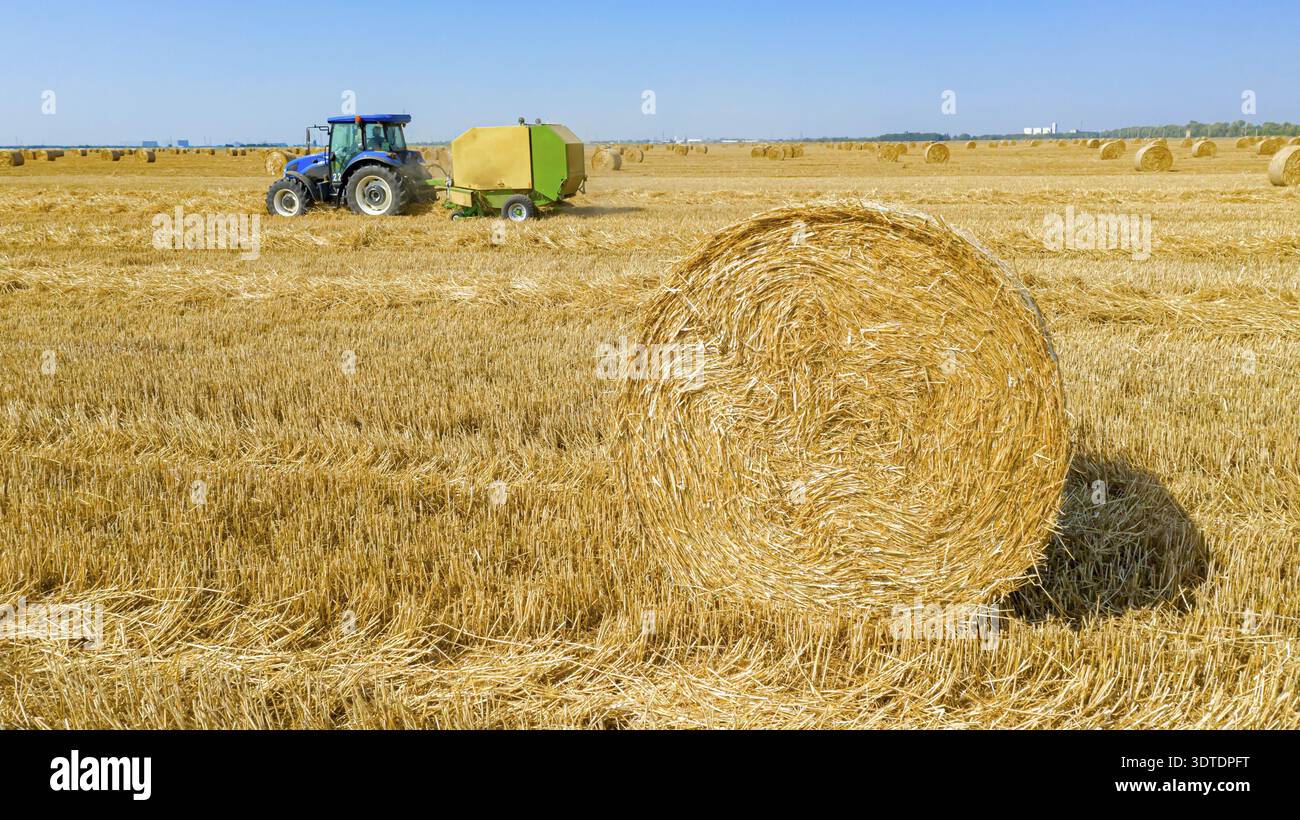 Vue au-dessus de la balle ronde de paille après la récolte, en arrière-plan le tracteur tire la presse à balles rondes, la machine qui enroule la paille et lance un bourré de Banque D'Images