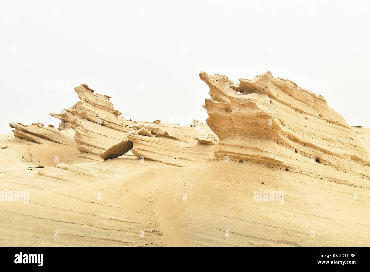 Dunes de Fossil Al Wathba, Abu Dhabi Banque D'Images