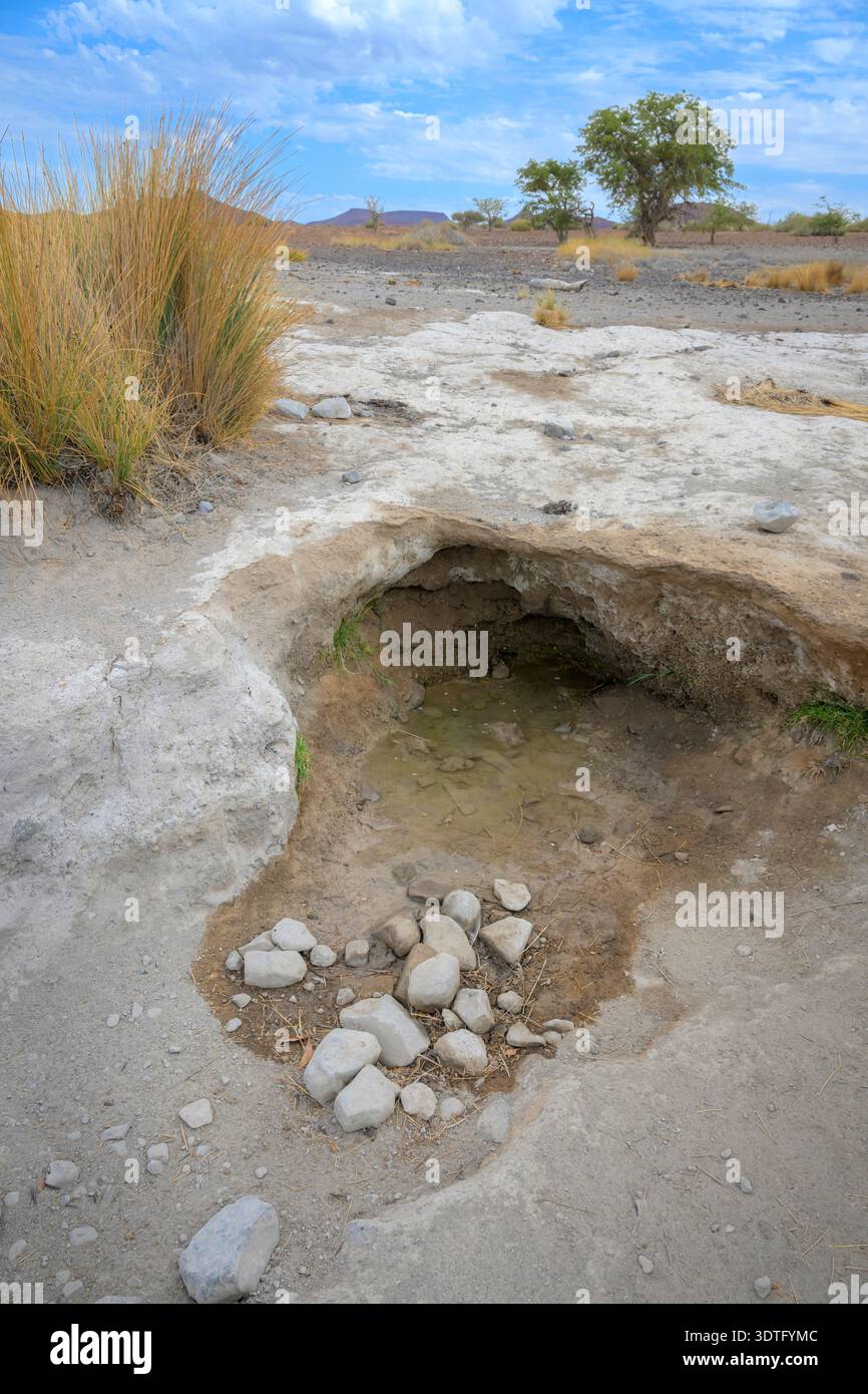 Source naturelle utilisée par les animaux dans le désert, Damaraland, Namibie. Banque D'Images