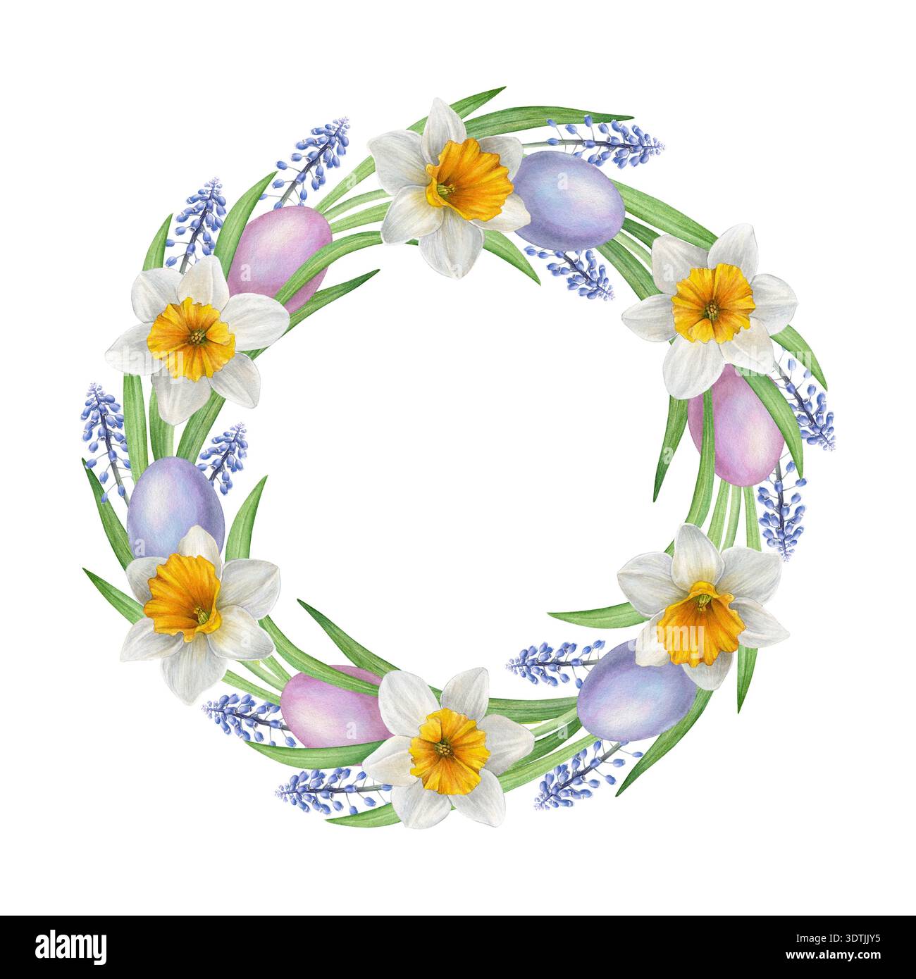 Couronne de Pâques aquarelle avec jonquilles blanches, muscari bleu, feuilles vertes et œufs pastel disposés en cercle. Idéal pour les cartes de vœux, invitations Banque D'Images