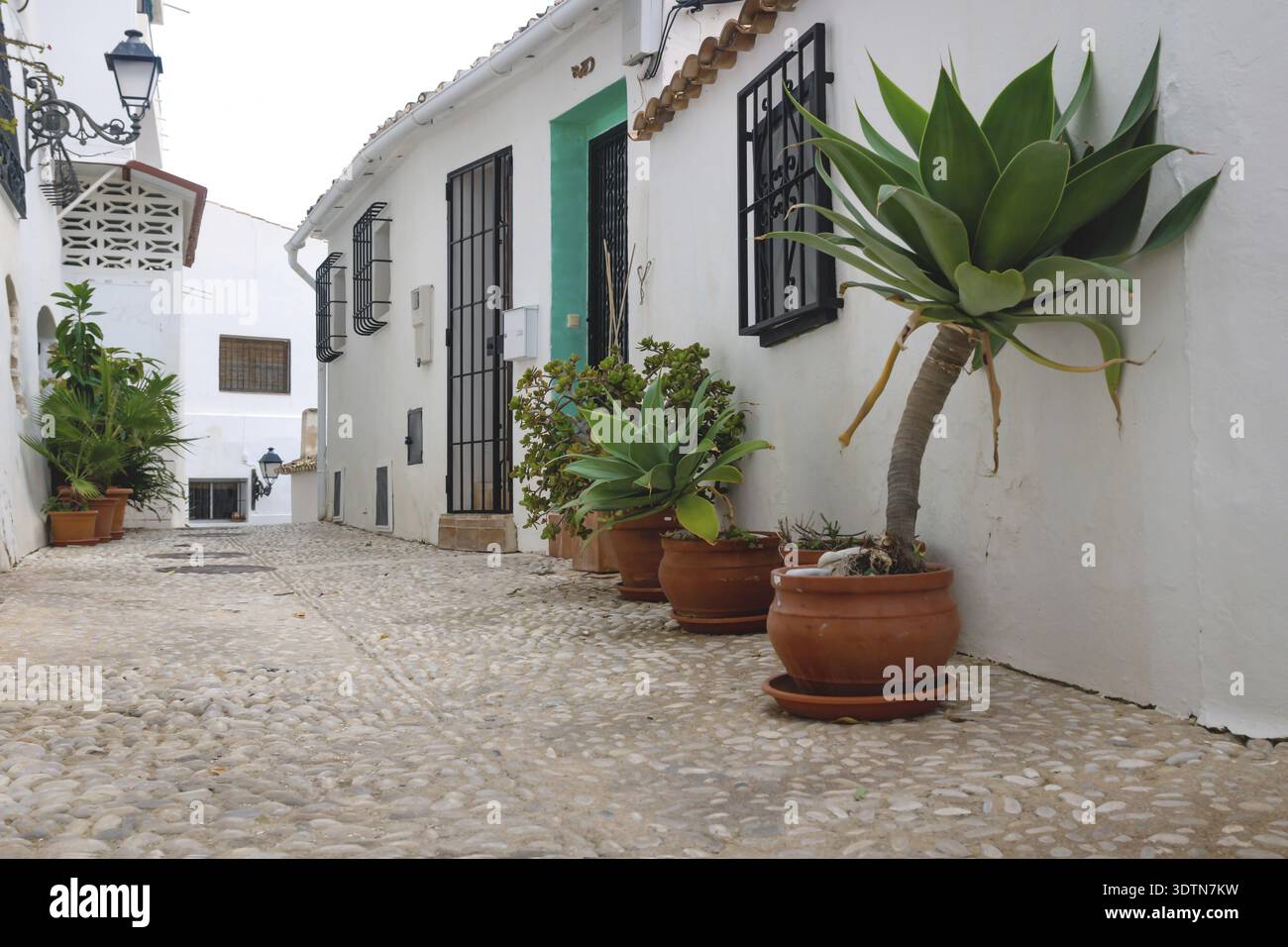 Allée avec pots de fleurs le long des maisons blanches dans la vieille ville d'Altea, Costa Blanca, Espagne Banque D'Images