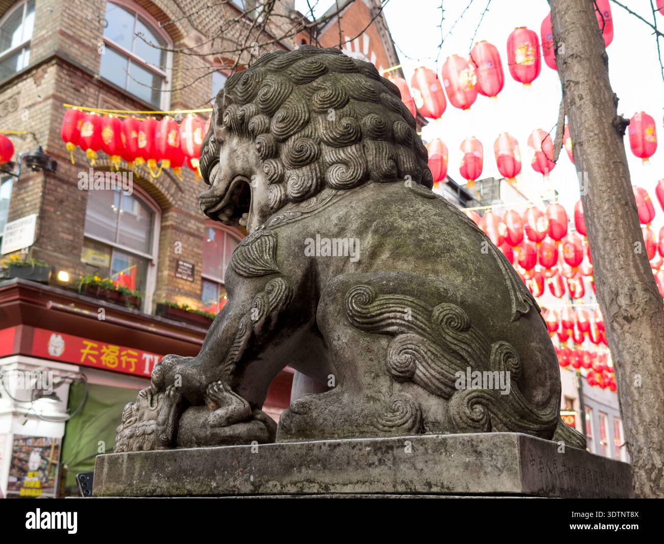 Londres, Royaume-Uni. 22 février 2026. Statue de lion gardien en pierre traditionnelle chinoise, ornée de rubans rouges festifs et de décorations pour le nouvel an lunaire. Située à l'entrée du quartier chinois de Londres, la statue sert de repère culturel pendant l'année des célébrations du cheval de feu, symbolisant la protection et la prospérité de la communauté locale et des visiteurs. Crédit : Glosszoom/Alamy Live News Banque D'Images