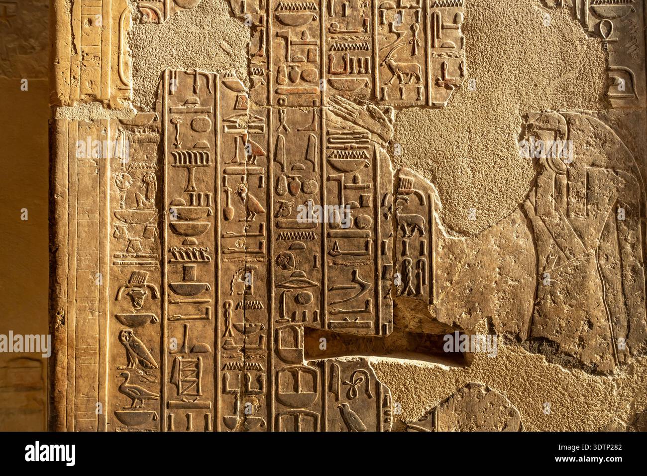Hieroglyphen im Totentempel der Hatschepsut und des Mentuhotep II in Deir el-Bahari, Theben West BEI Luxor, Ägypten, Afrika | hiéroglyphes at the Mor Banque D'Images