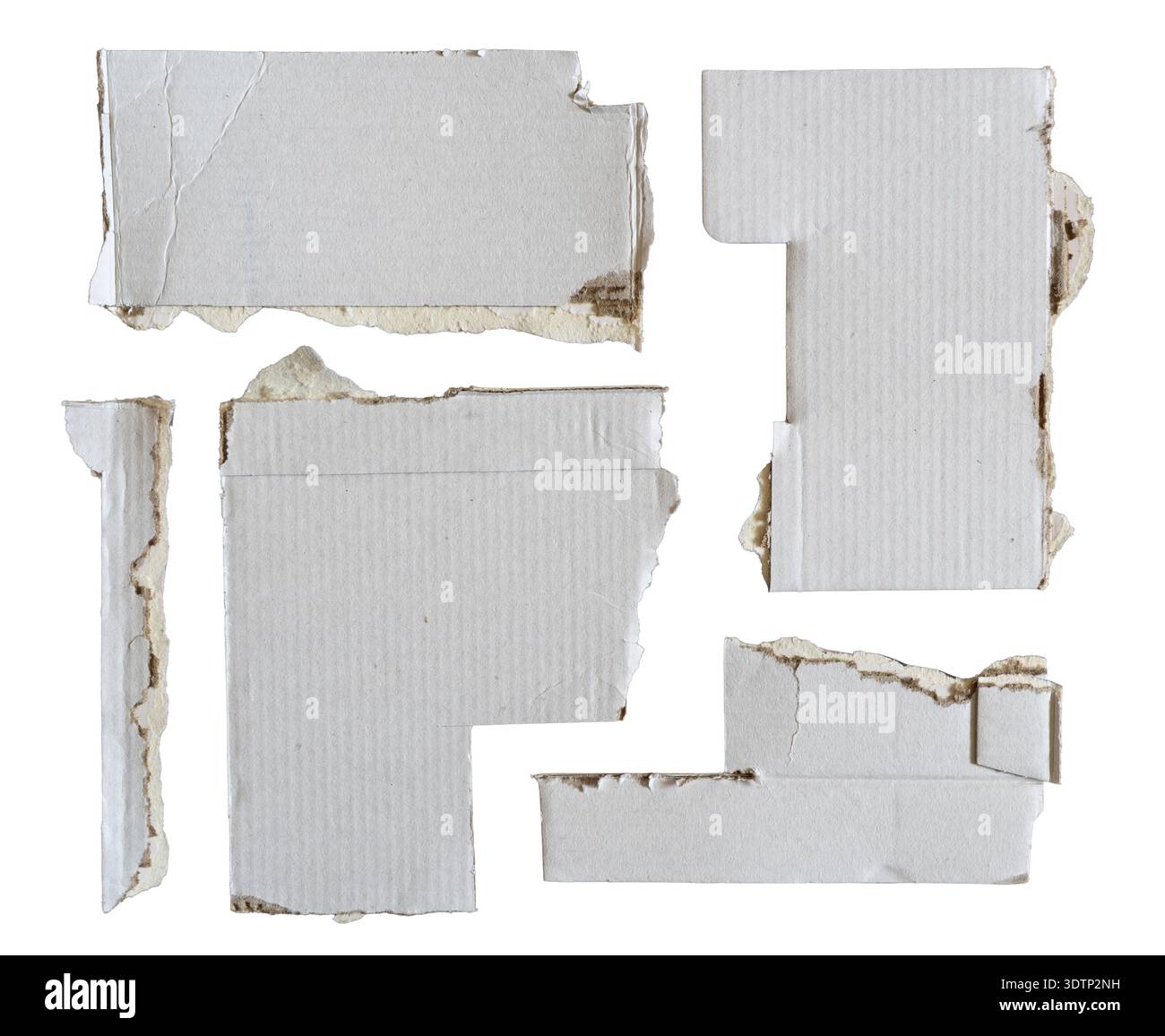 Ensemble de papiers en carton blanc coupés et déchirés en formes géométriques libres isolés sur fond blanc avec chemin de détourage Banque D'Images