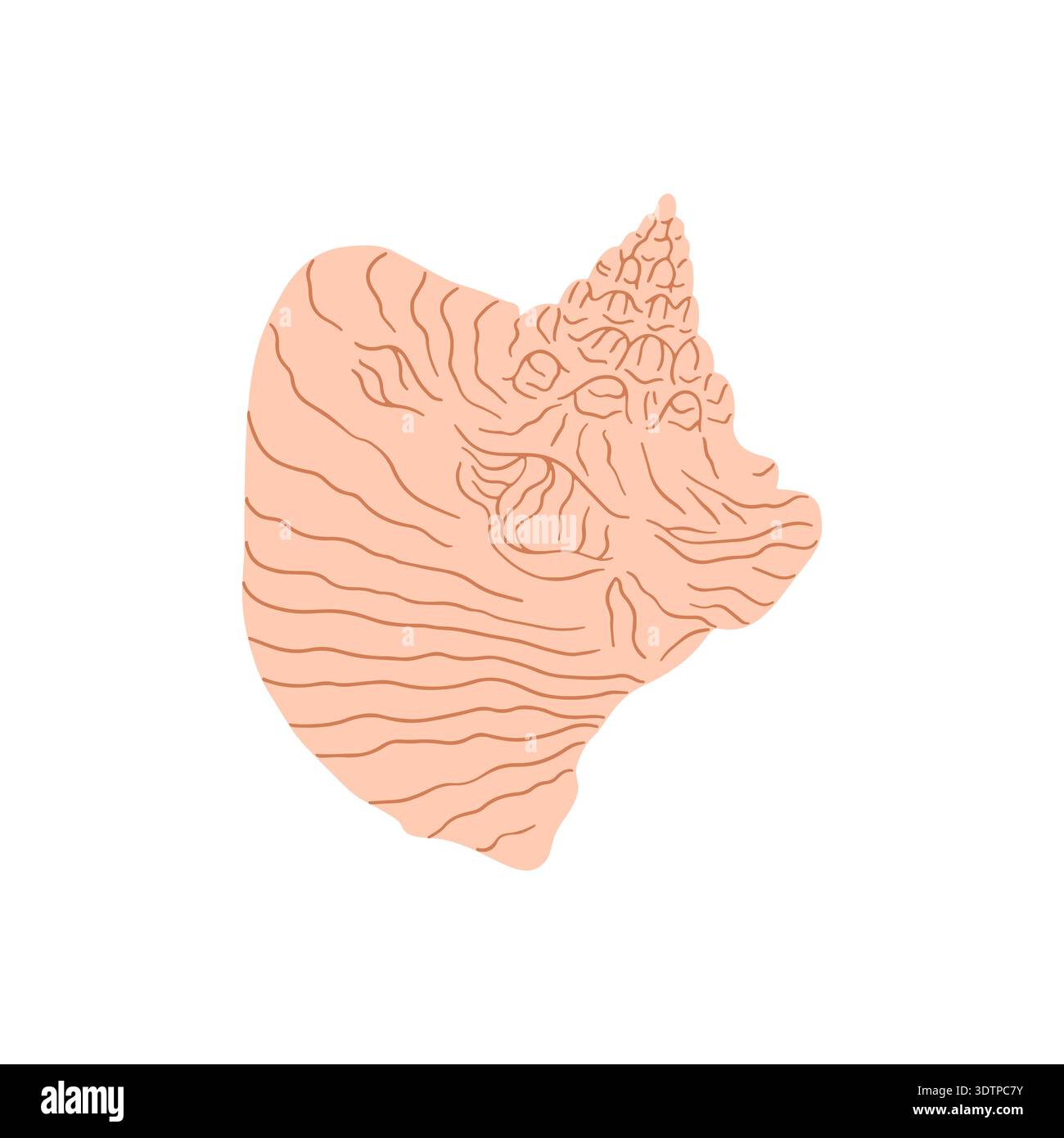 Illustration vectorielle de coquille de conque dessinée à la main rose pastel. Silhouette de clipart de mollusque Illustration de Vecteur