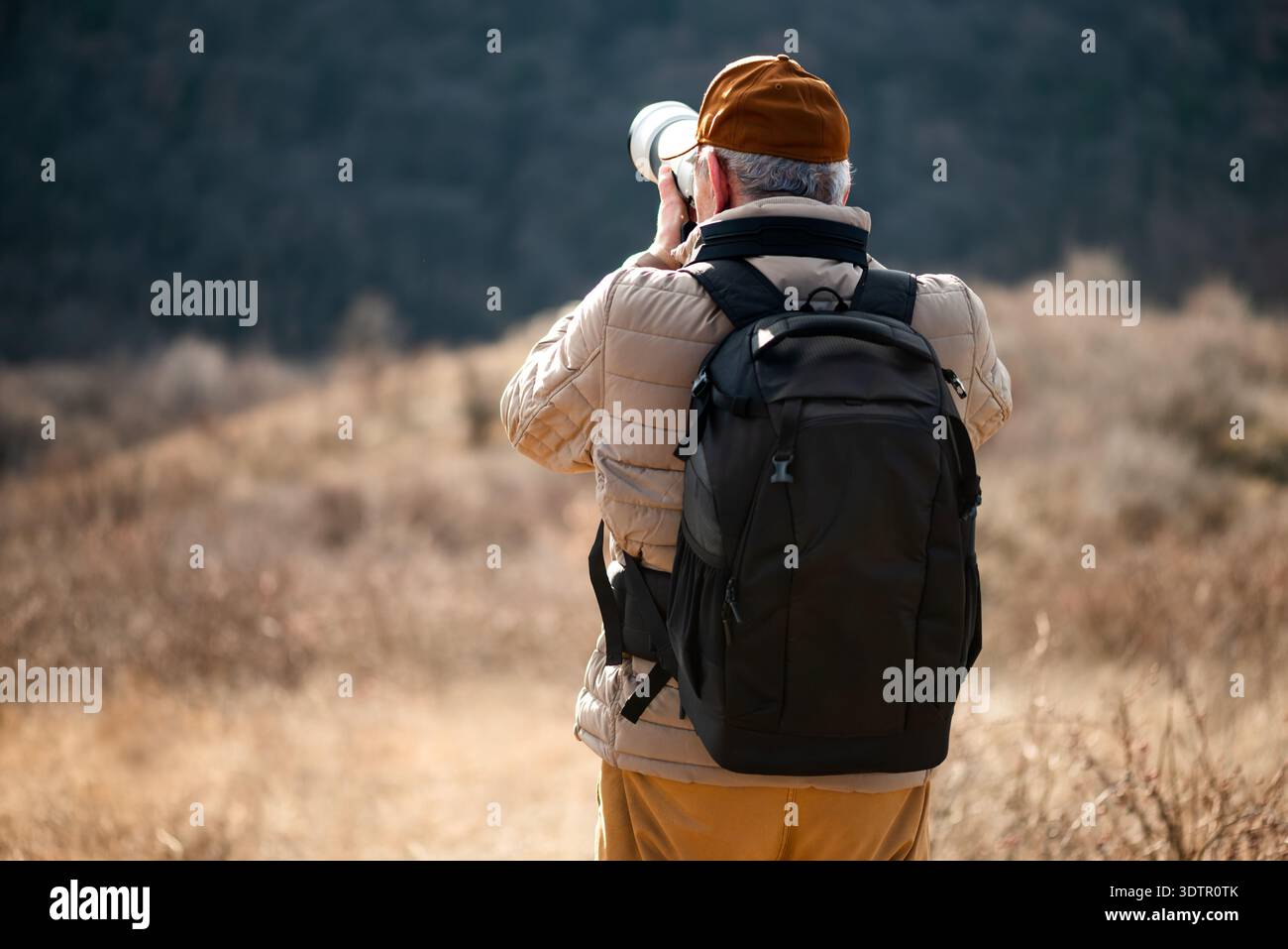 Vue arrière d'un photographe expérimenté à dos qui explore les champs ouverts pour capturer une perspective unique de la nature ou de la faune. Banque D'Images