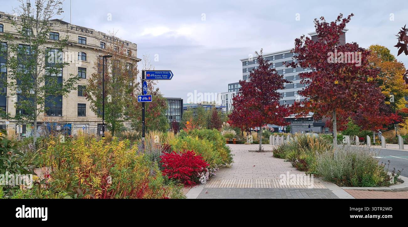 Sheffield Grey to Green Urban planter Scheme dans le quartier Castlegate du centre-ville de Sheffield, South Yorkshire, Angleterre, Royaume-Uni Banque D'Images