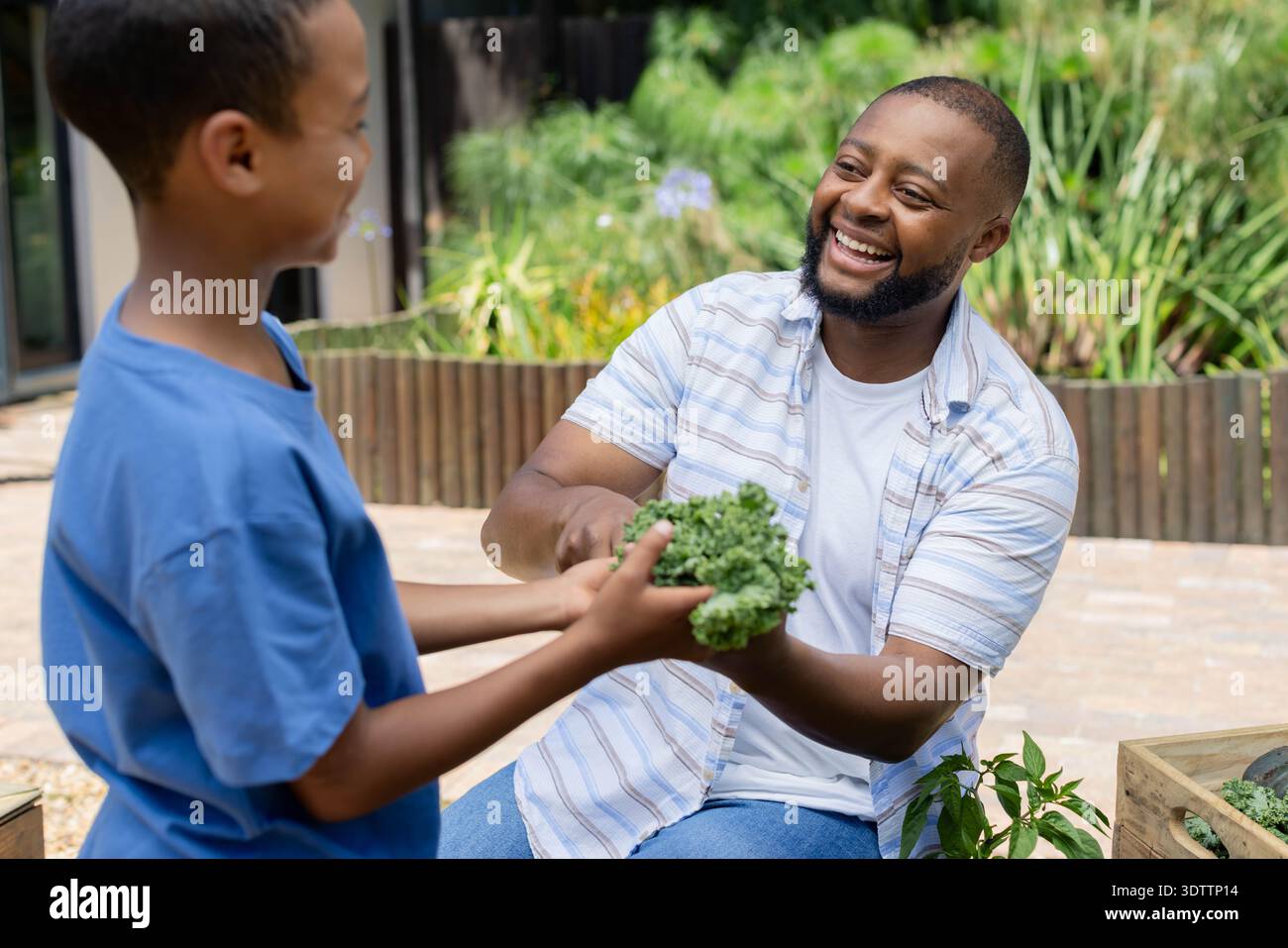 Père afro-américain et enfant jardinant sur le patio, père en chemise rayée tenant le chou frisé Banque D'Images