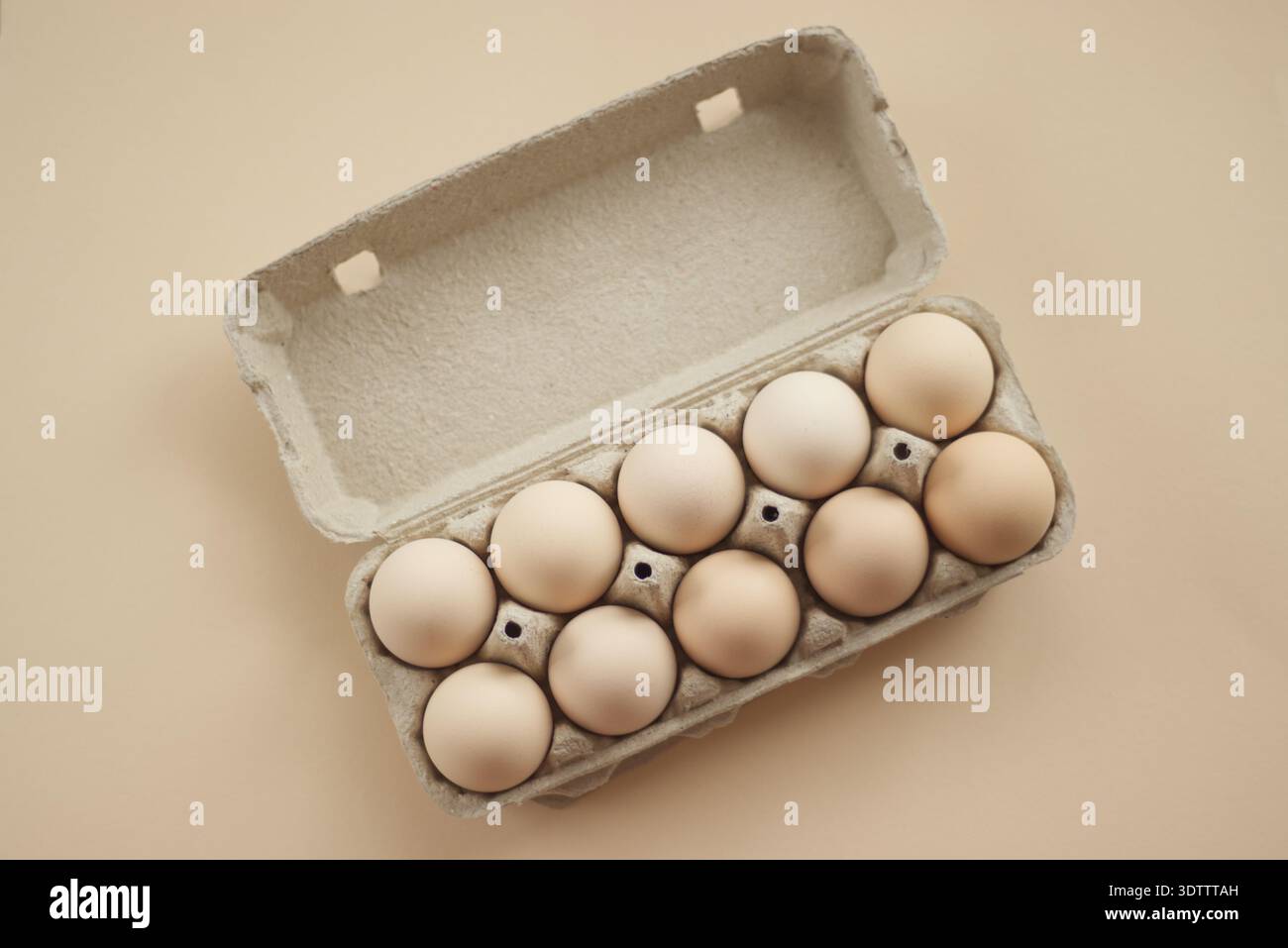 Dix œufs de poule bruns dans la boîte de carton sur fond clair Banque D'Images