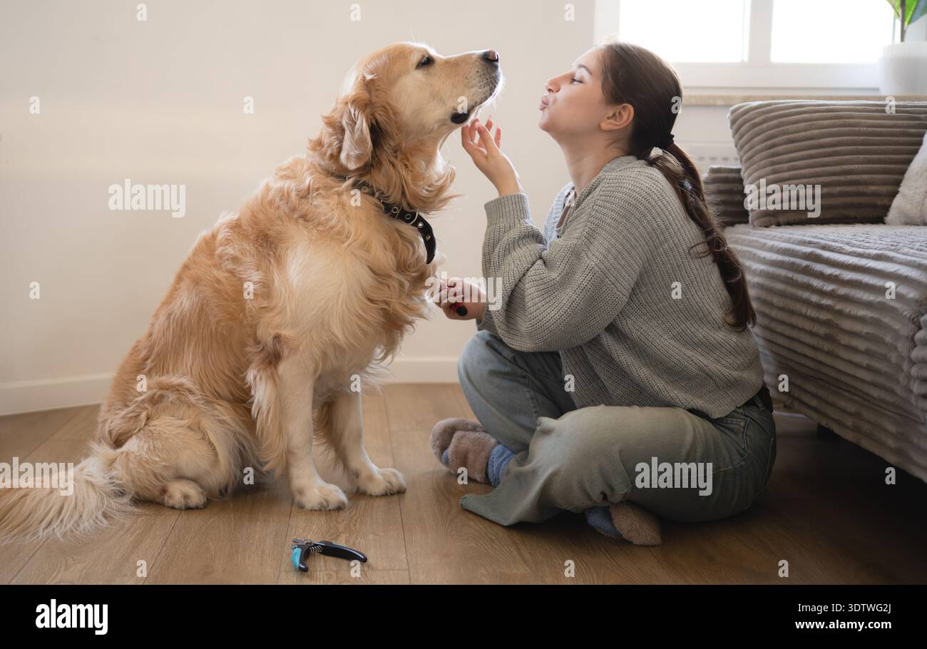 Fille est assise sur le sol brossant son Golden retriever dans un salon lumineux Banque D'Images