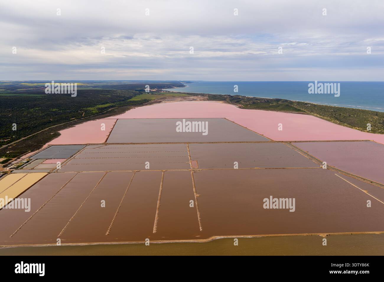Vue aérienne d'un grand lac salé rose divisé en étangs d'évaporation le long de la côte de l'océan Indien en Australie occidentale. Banque D'Images