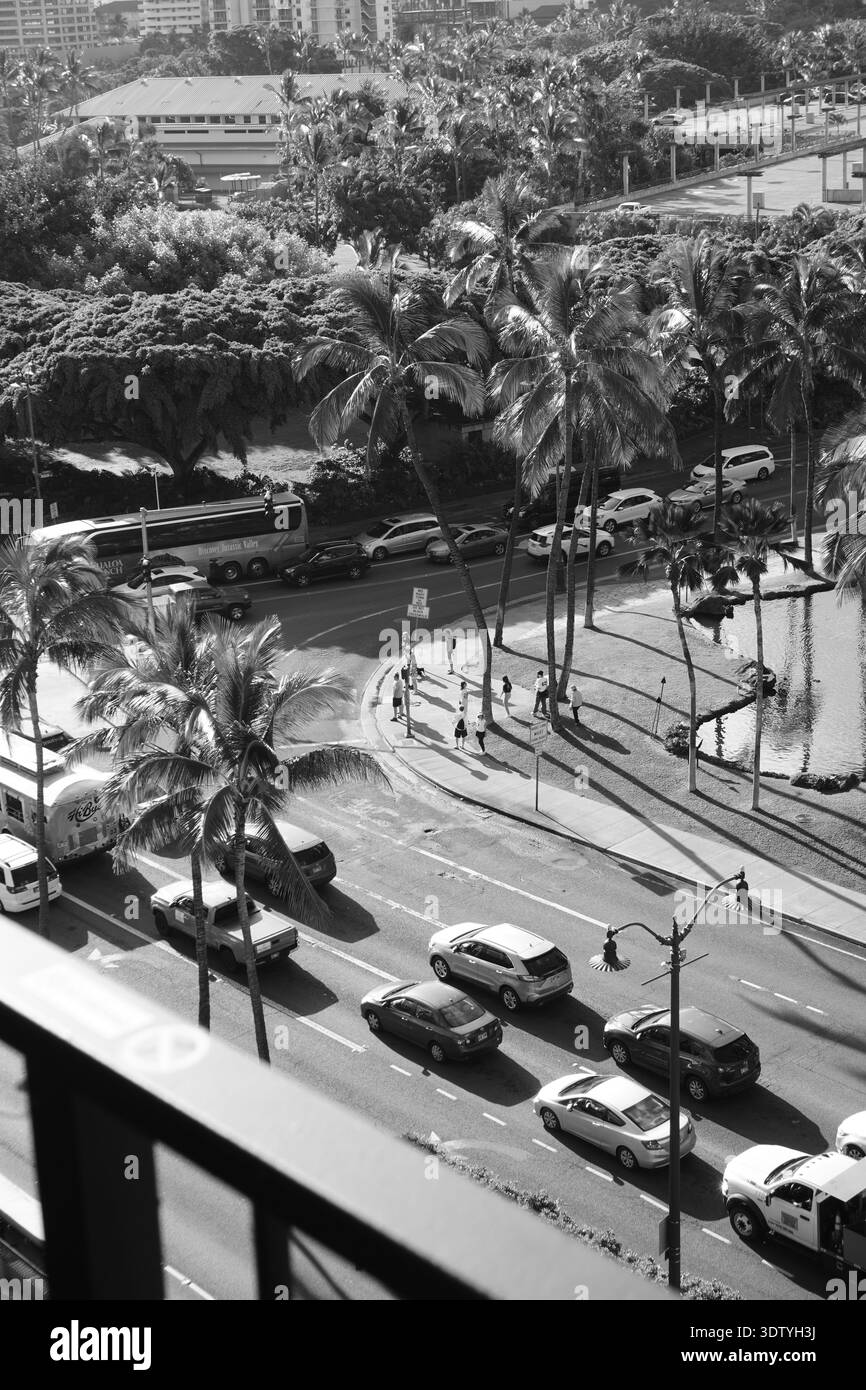 Vue en noir et blanc de la circulation urbaine bordée de palmiers à Honolulu, Hawaï, vue d'un point de vue élevé. Les voitures se déplacent le long d'une pointe occupée Banque D'Images