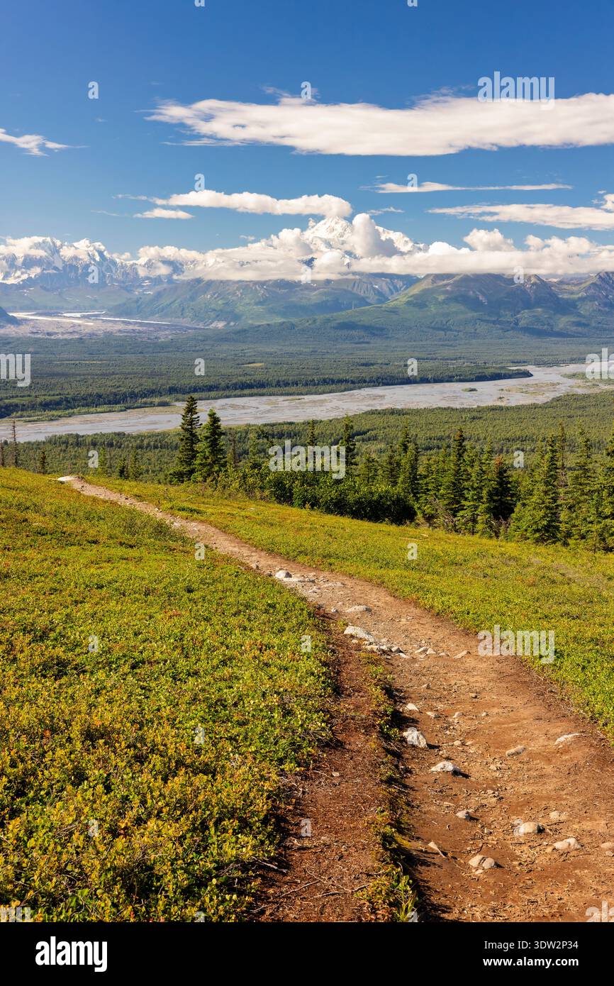 Alaska Range à partir de Curry Ridge Trail dans le parc d'État de Denali dans le centre-sud de l'Alaska. Banque D'Images