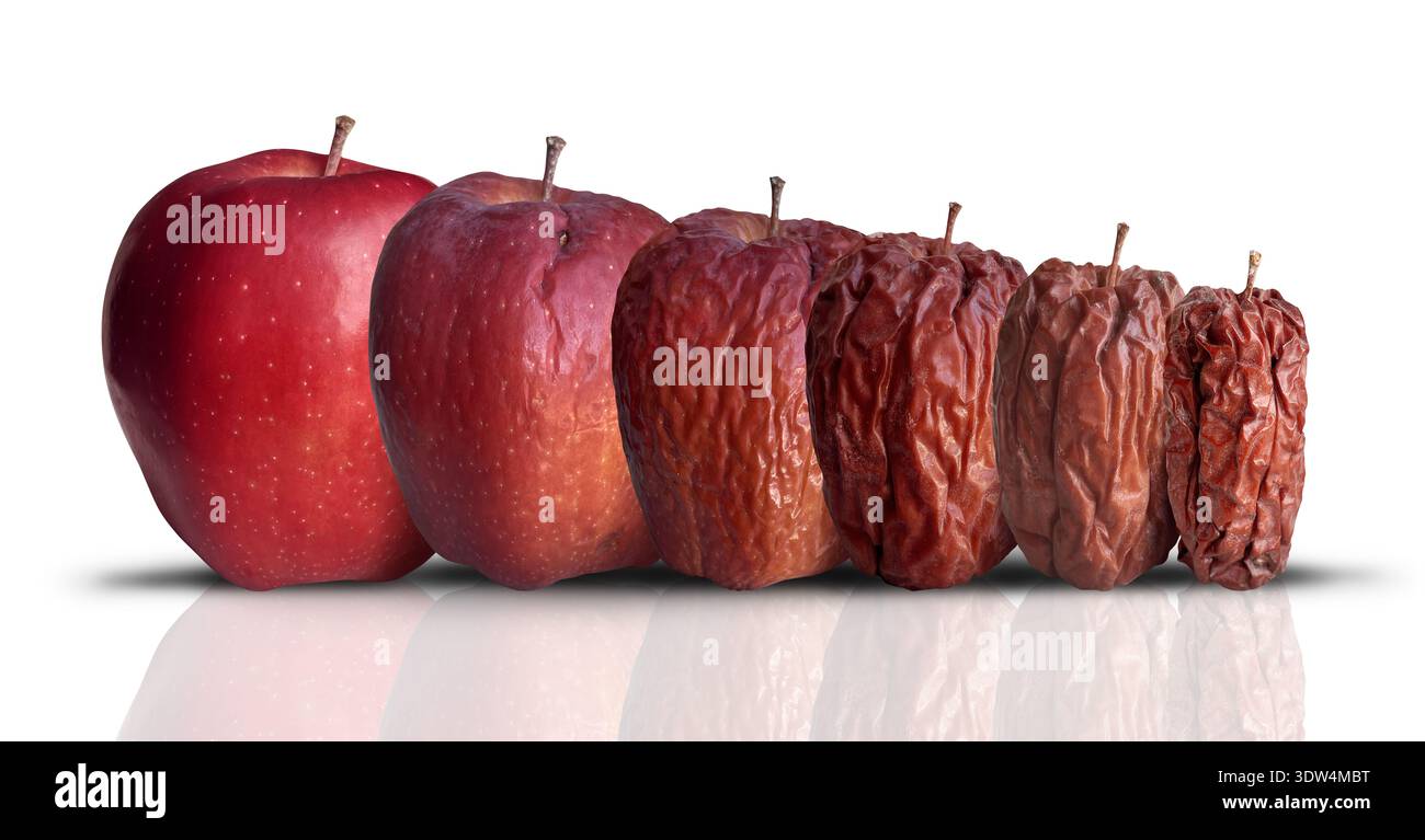 Processus de vieillissement et de longévité comme une nouvelle pomme rouge fraîche mûre se décomposant et se faisant vieillir et ridée. Banque D'Images
