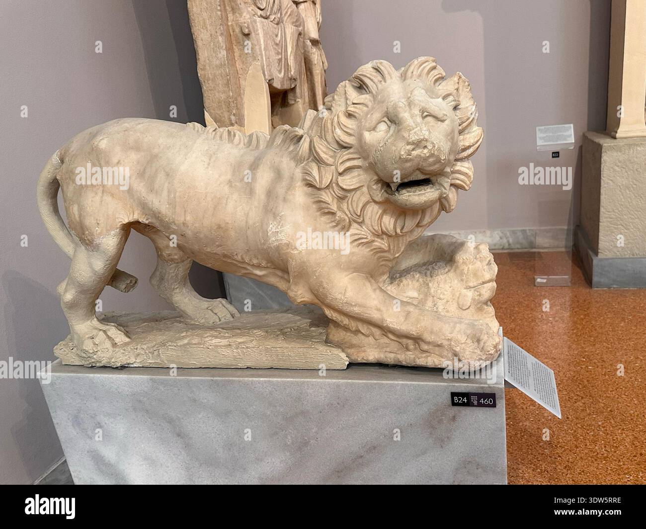 C'est une statue d'un lion grec rugissant, prêt au printemps, faite pour garder un cimetière exposé au Musée archéologique national d'Athènes. Banque D'Images