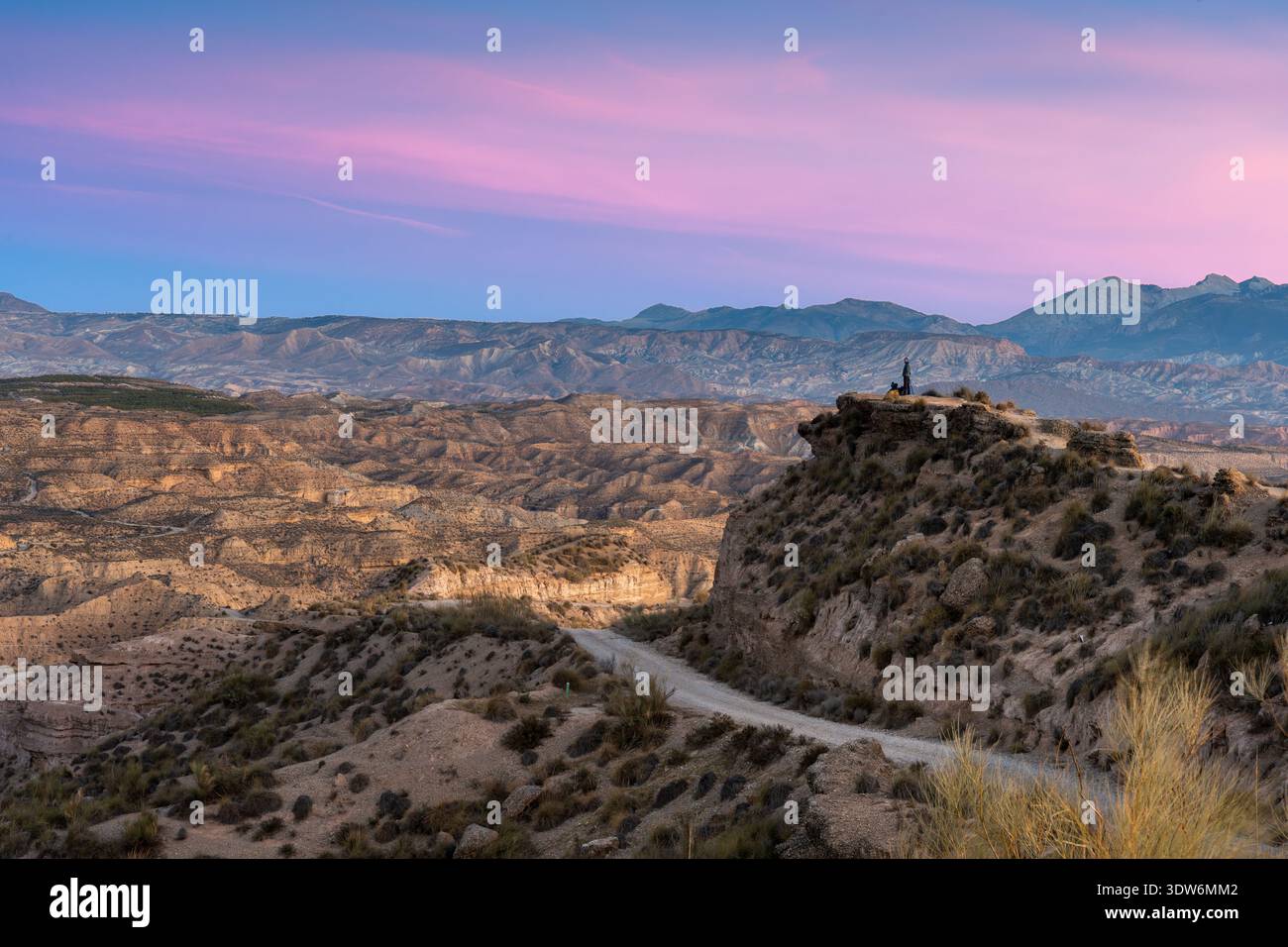 Vue d'un chemin de terre sinueux menant à une colline accidentée sous un ciel pastel, le paysage se déroulant en couches texturées, Gorafe, Andalucía, Espagne. Banque D'Images