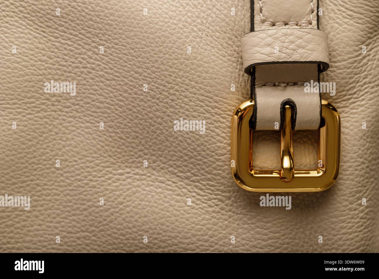 Cuir écru de luxe et bracelet avec boucle dorée. Gros plan sur le sac Banque D'Images