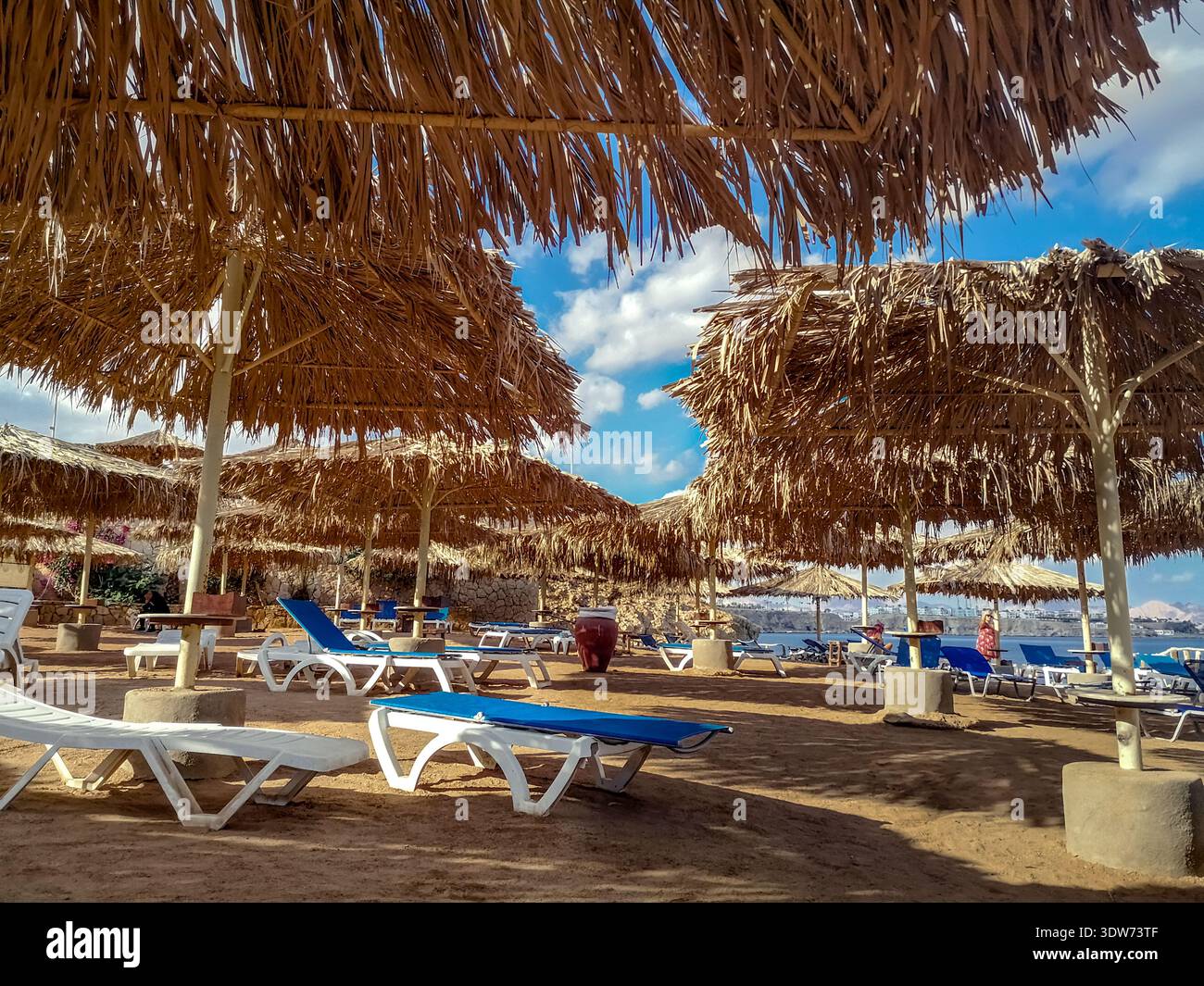 Plage de l'hôtel avec parasols de chaume à Sharm El Sheikh (Egypte). Beau paysage tropical avec chaises longues, toits de roseaux secs et la mer Rouge - Image de stock capturée avec un smartphone