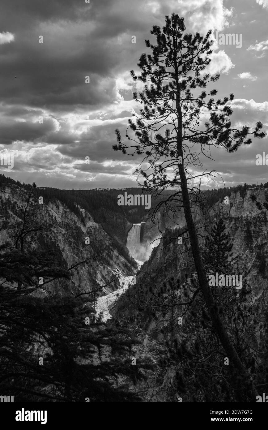 Le Grand Yellowstone Canyon. Parc national de Yellowstone, États-Unis Banque D'Images