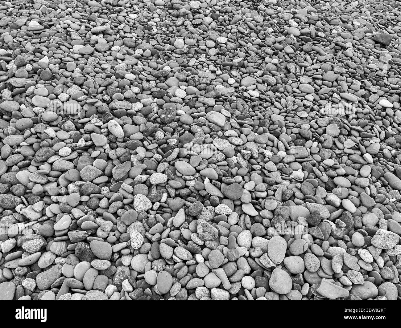 Pebbles Sandscale Haws - Image de stock capturée avec un smartphone
